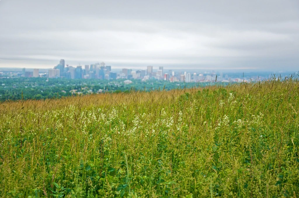 Nose Hill Park